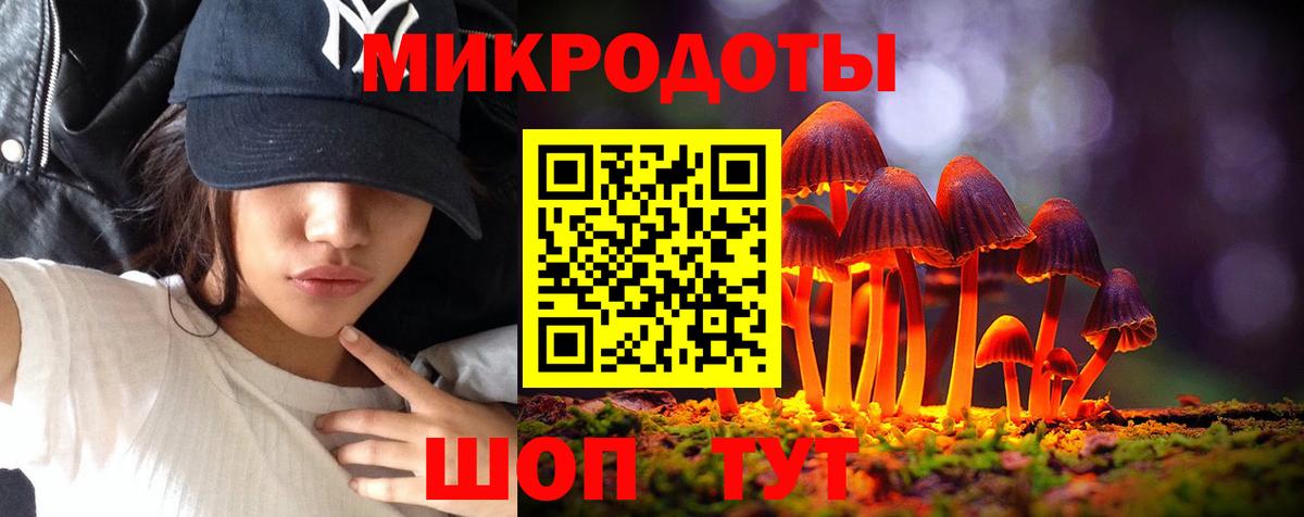 Галлюциногенные грибы Cubensis  Галлюциногенные грибы прущие грибы  Сорочинск  Вход с VPN 